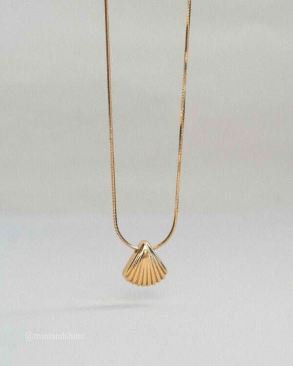 Seashell Necklace