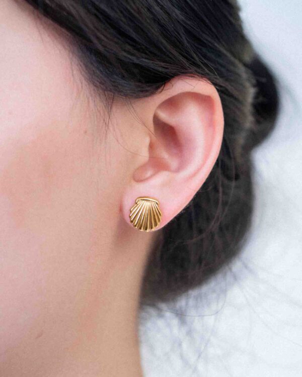SeaShell Earrigns