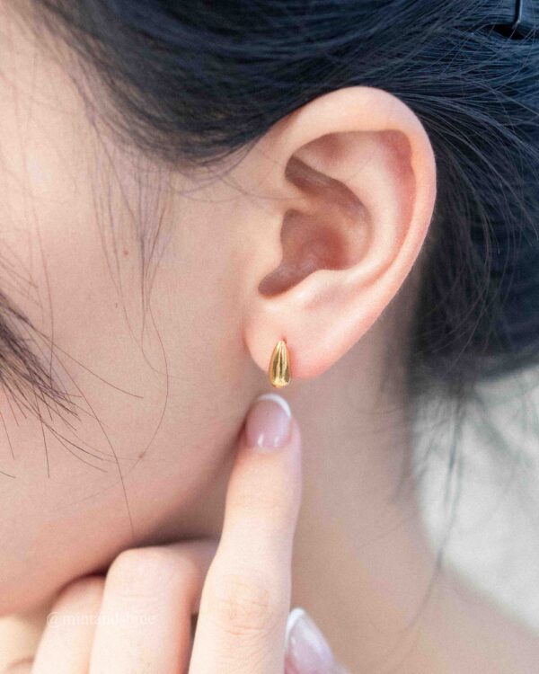 Oblong Earrings