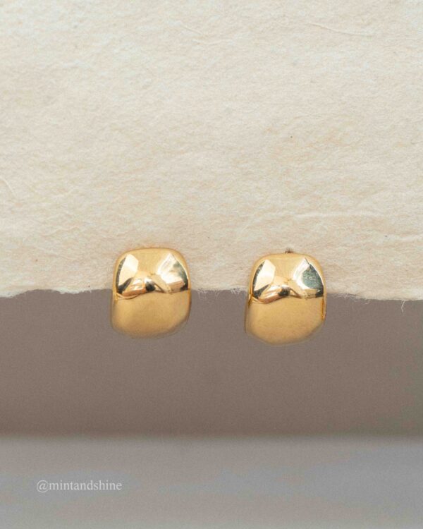Drop Earrings