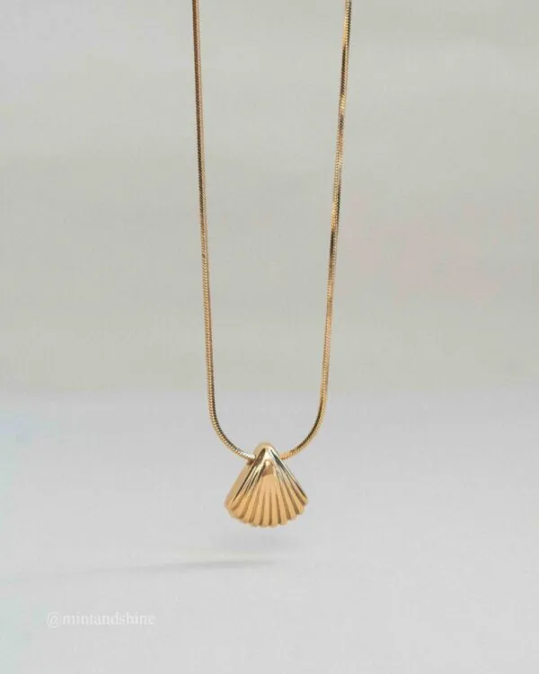 Seashell Necklace