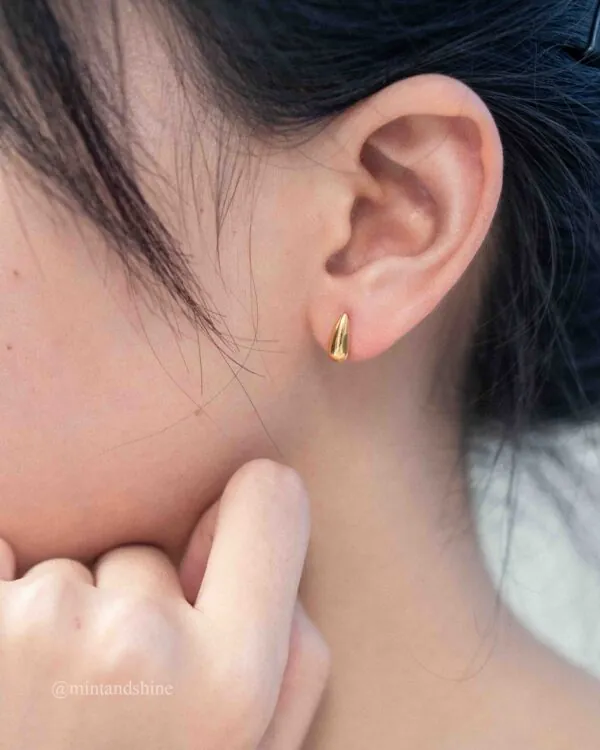 Oblong Earrings