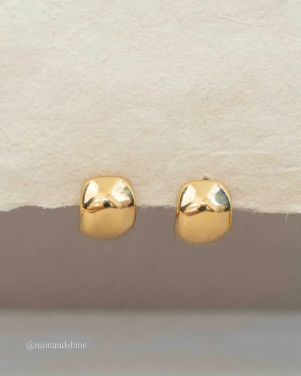 Drop Earrings